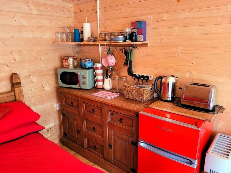 Tan Y Coed'S Rosemary Cabin Conwy Exterior foto