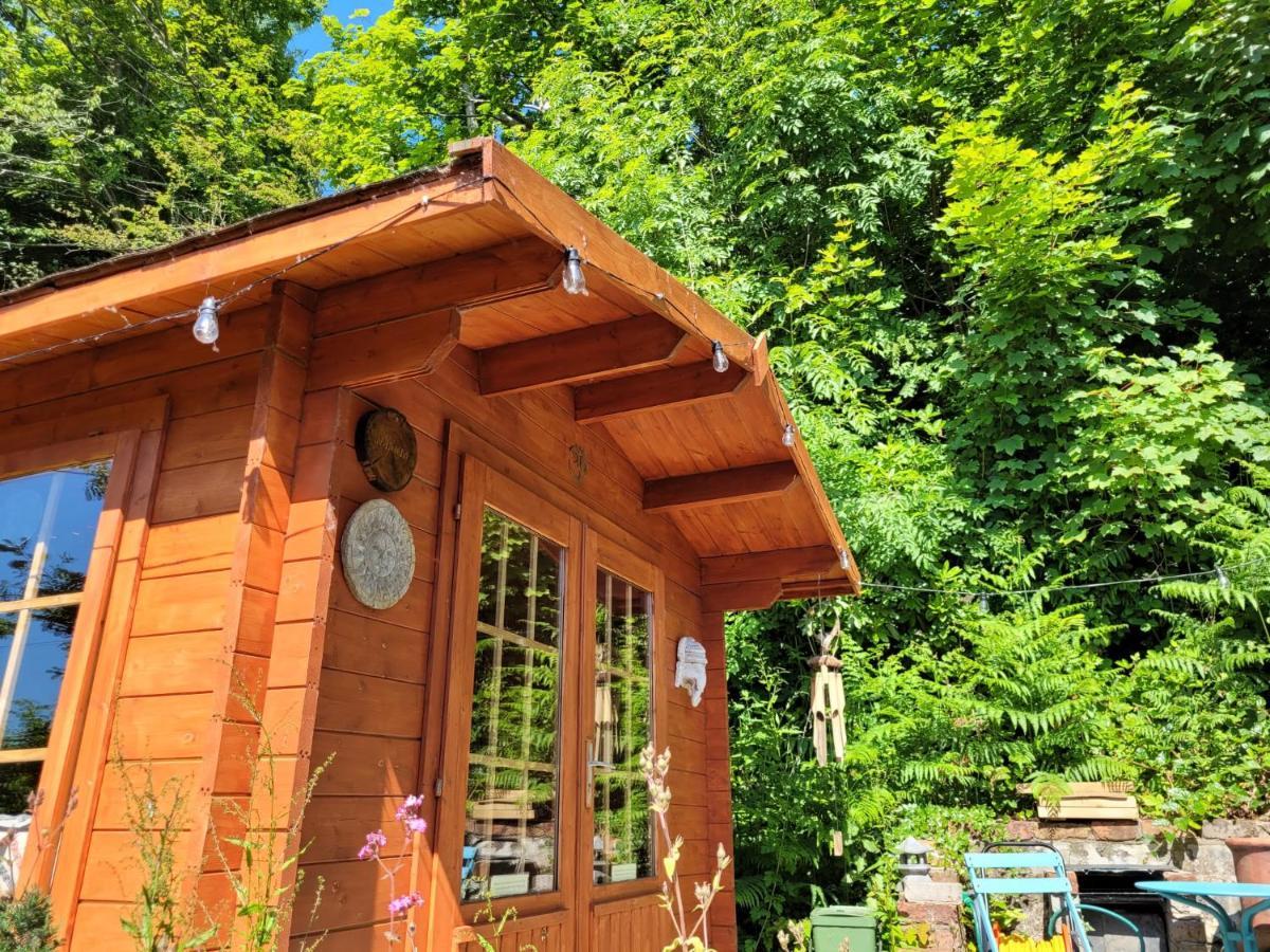 Tan Y Coed'S Rosemary Cabin Conwy Exterior foto